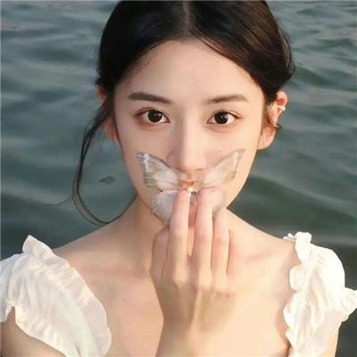 豹